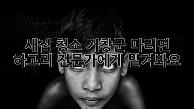 새집 청소? 거창군 마리면 하고리 전문가에게 맡겨봐요! ✨