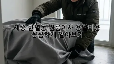 세종 한별동 원룸이사, 용달비용 꼼꼼하게 알아보기!